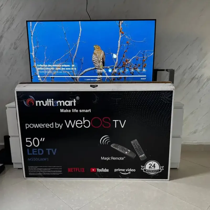 TV 4K 50p SMART Multismart WebOS ( LG Système )